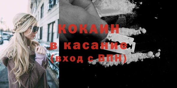 гидра Магас