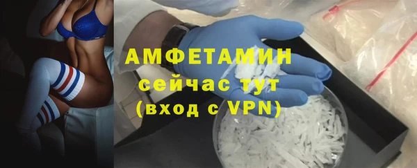 гидра Магас