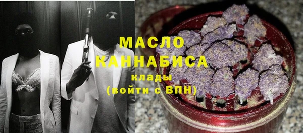 гидра Магас