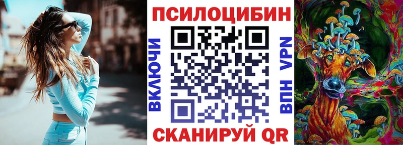 Галлюциногенные грибы Psilocybe  Купить где  Прохладный 