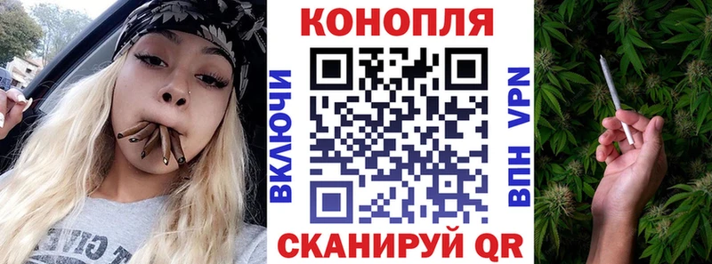 Бошки марихуана марихуана  Купить  Прохладный 